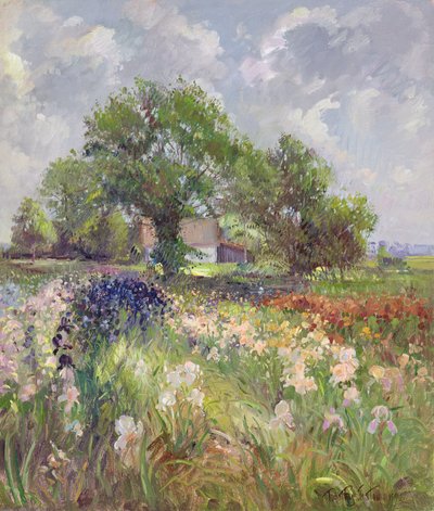 Fienile bianco e campo di iris, 1992 da Timothy Easton